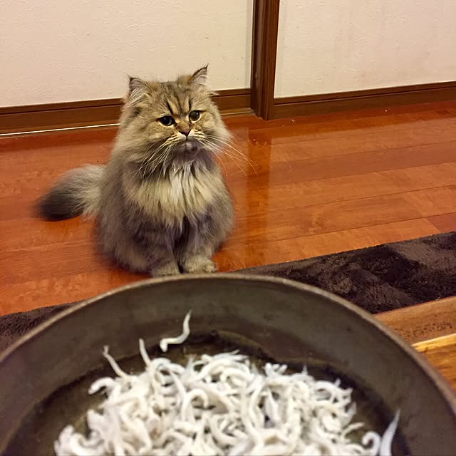 butachanさんの実例写真
