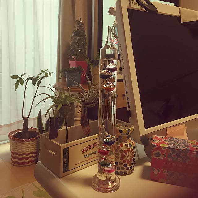 wildswanさんの実例写真