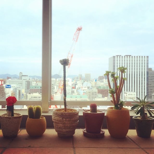 to_masonさんの実例写真