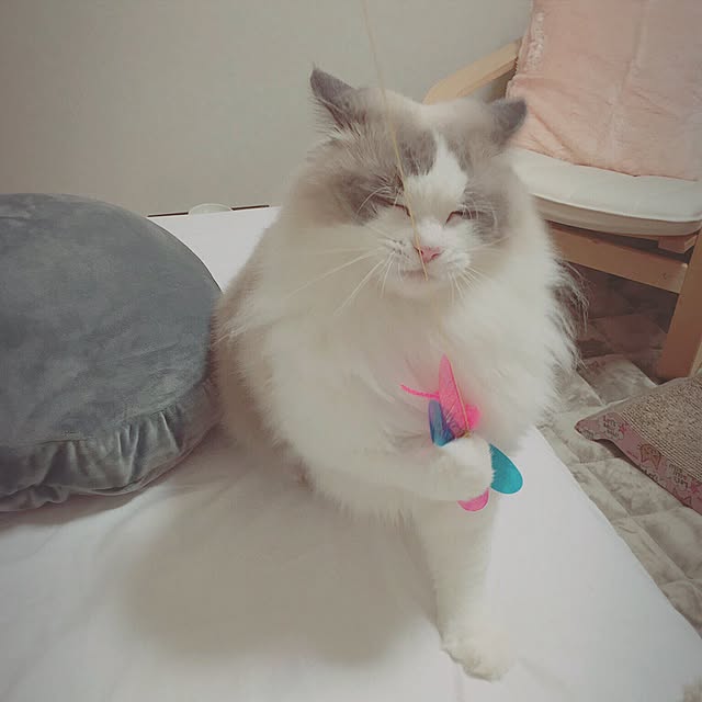 linklinkさんの実例写真