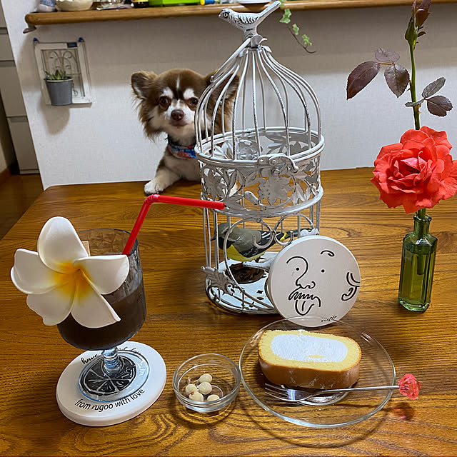 chIoeさんの実例写真