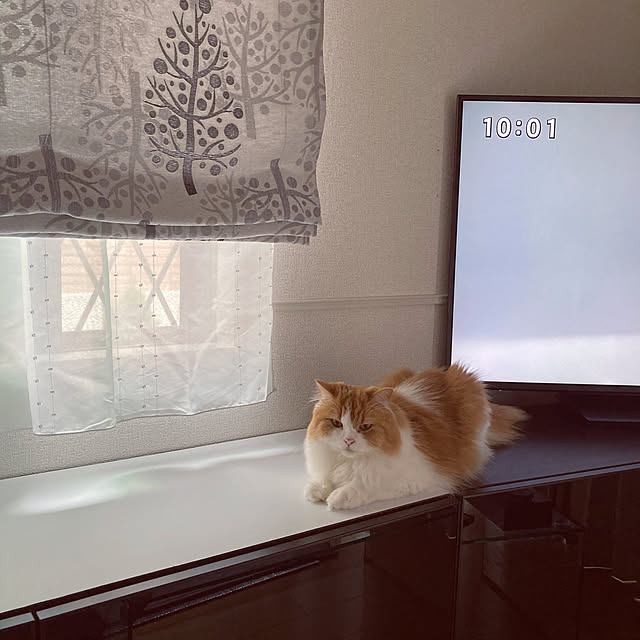 H.Tさんの実例写真