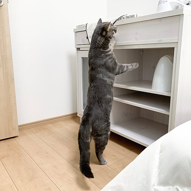 yuzukoさんの実例写真
