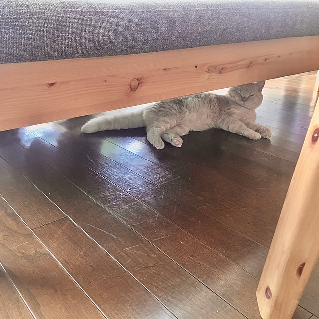 naokoさんの実例写真