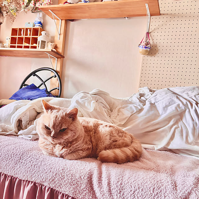 naokoさんの部屋