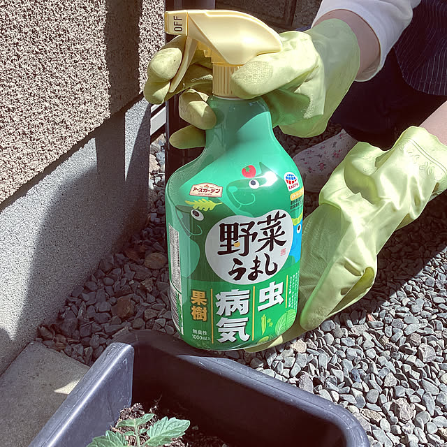 richanさんの実例写真
