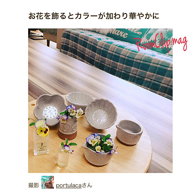 portulacaさんの実例写真