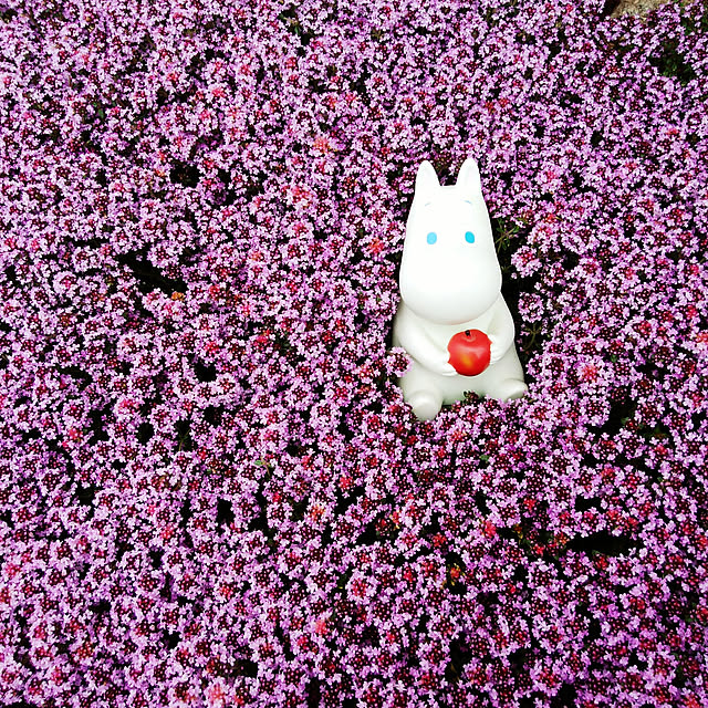 okeiさんの実例写真