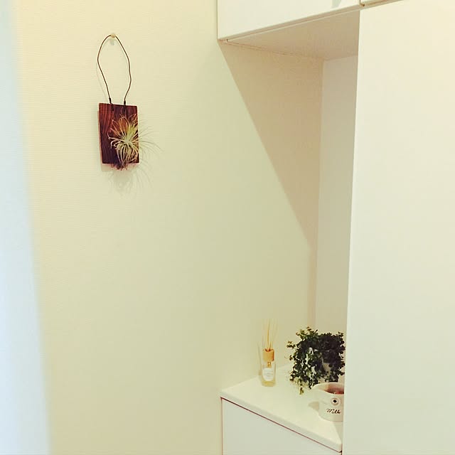 takeさんの実例写真