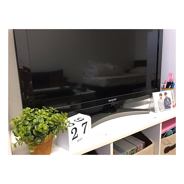 リビング/観葉植物/100均/一人暮らし/3COINS...などのインテリア実例 - 2017-05-27 12:38:30