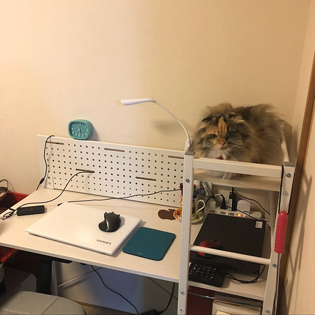 misawaka16さんの実例写真