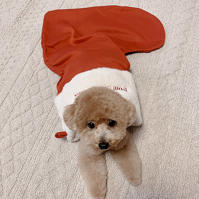 chii_saさんの実例写真