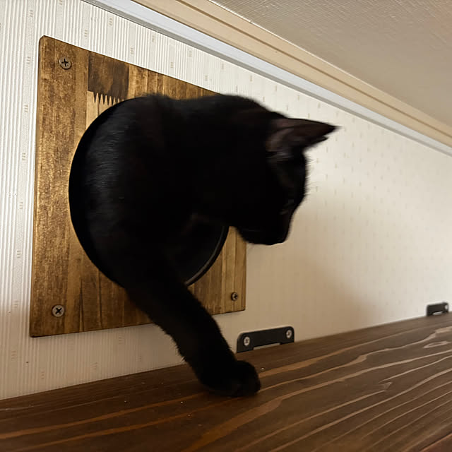 Tetsuyaさんの部屋