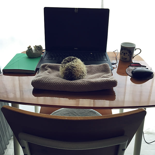 archieさんの実例写真
