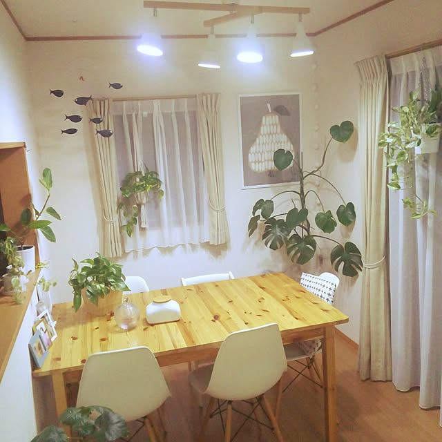 miruban1010さんの実例写真