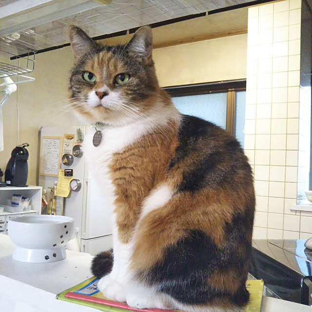 yukieさんの実例写真
