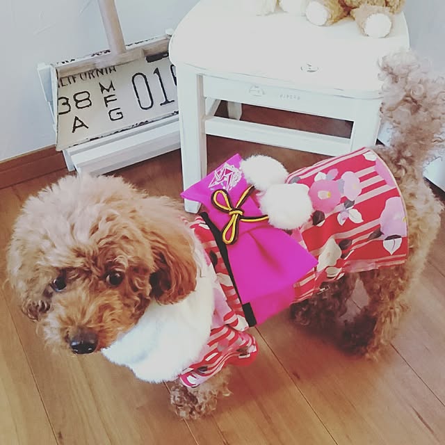 maki_noさんの実例写真