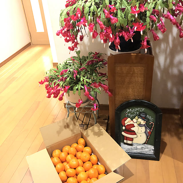 fumikoiさんの実例写真