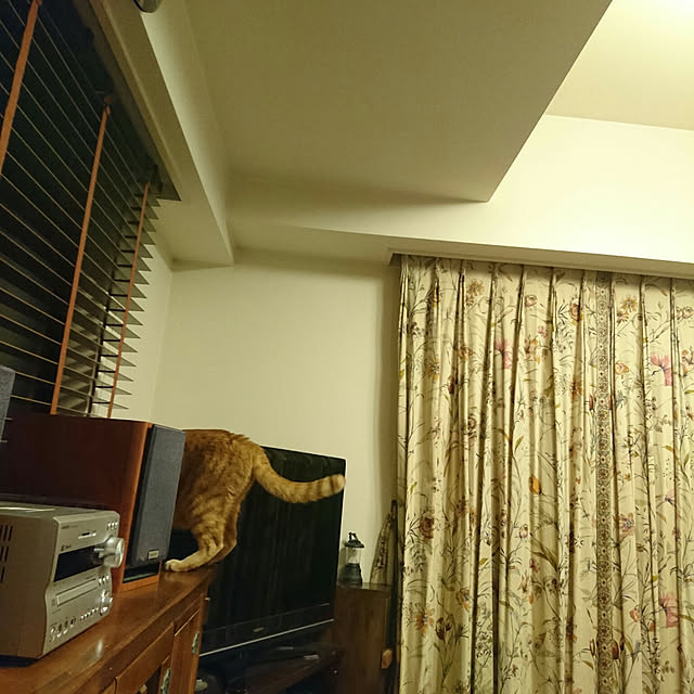 okyosan101さんの実例写真
