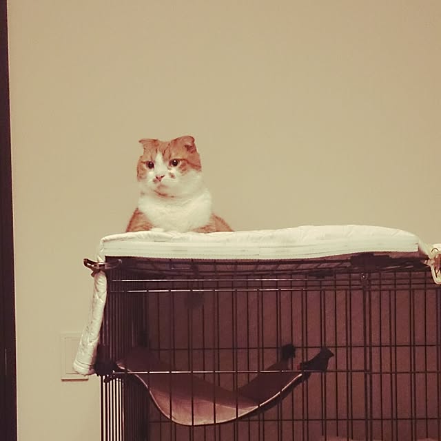Sachiさんの実例写真