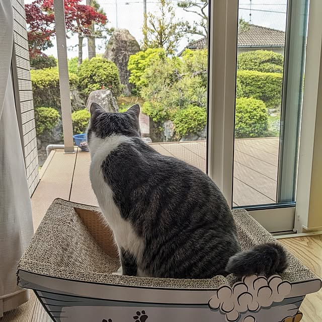 papyjetさんの実例写真