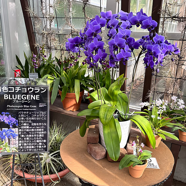 nachiさんの部屋