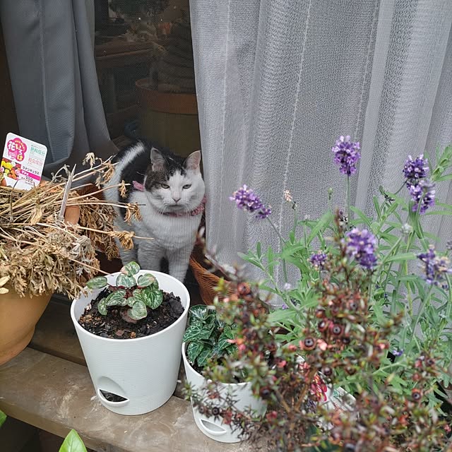 yuuさんの部屋