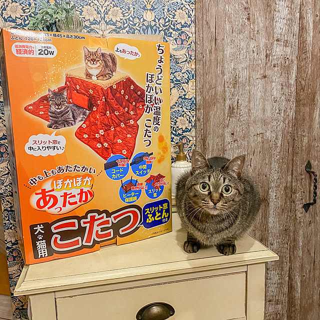HARUさんの実例写真