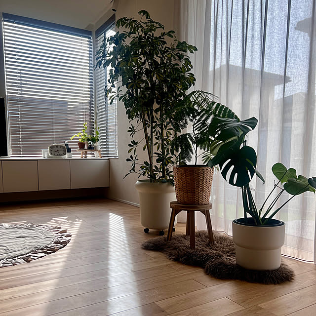 eri.さんの実例写真