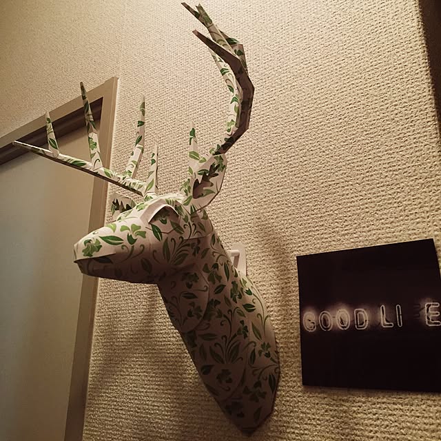 Hanaさんの実例写真