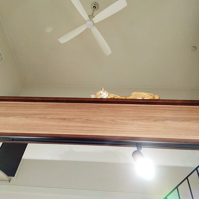 sorakoさんの実例写真
