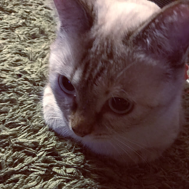 nachuさんの実例写真