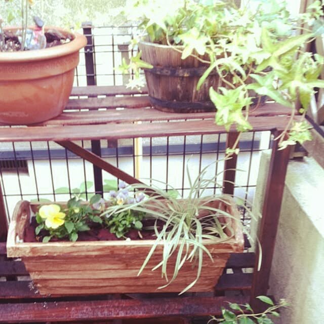 棚/DIYのインテリア実例 - 2015-01-09 08:33:22