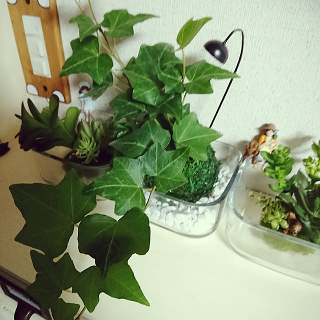 todorinkoさんの実例写真