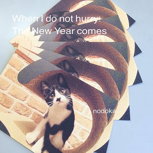 nodokaさんの実例写真