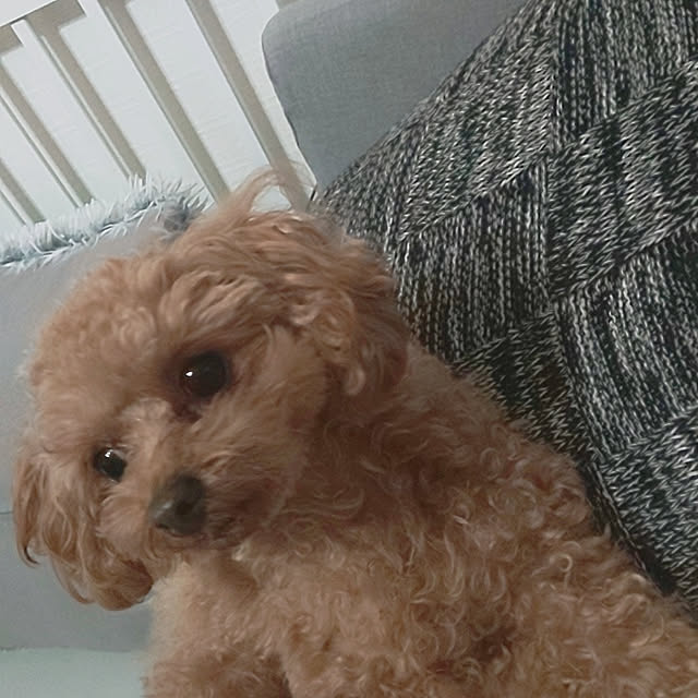 Mayumiさんの実例写真