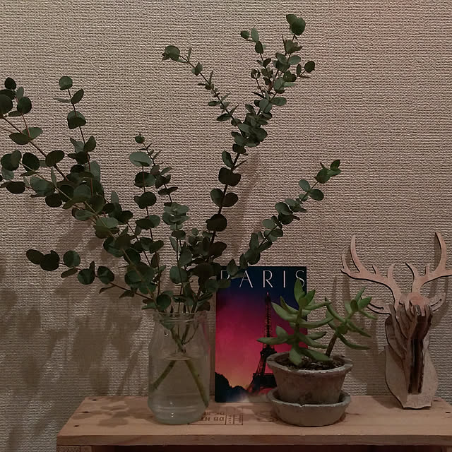 実例写真