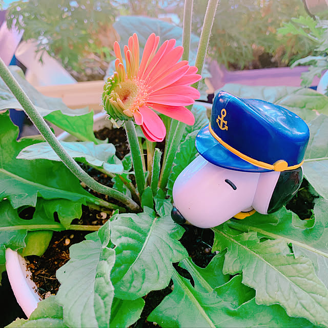 totoさんの実例写真