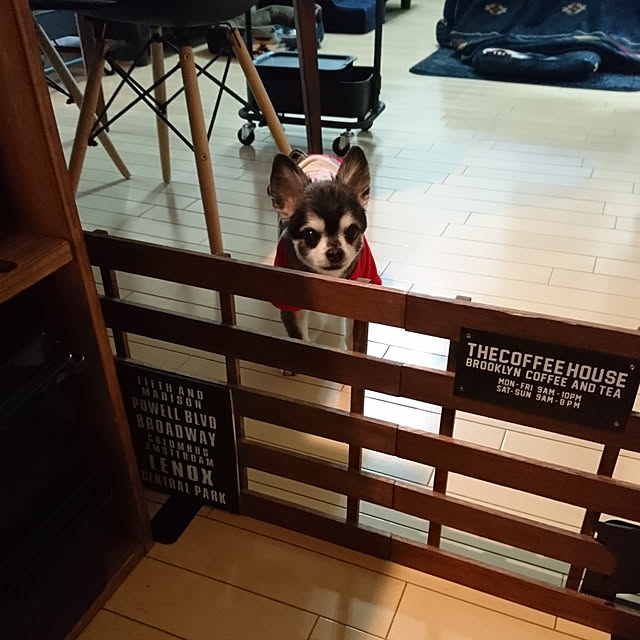 lovepeaceさんの実例写真