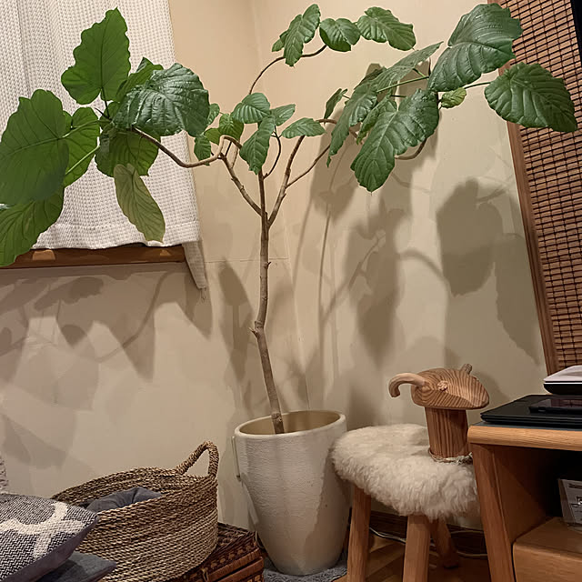 maraさんの実例写真
