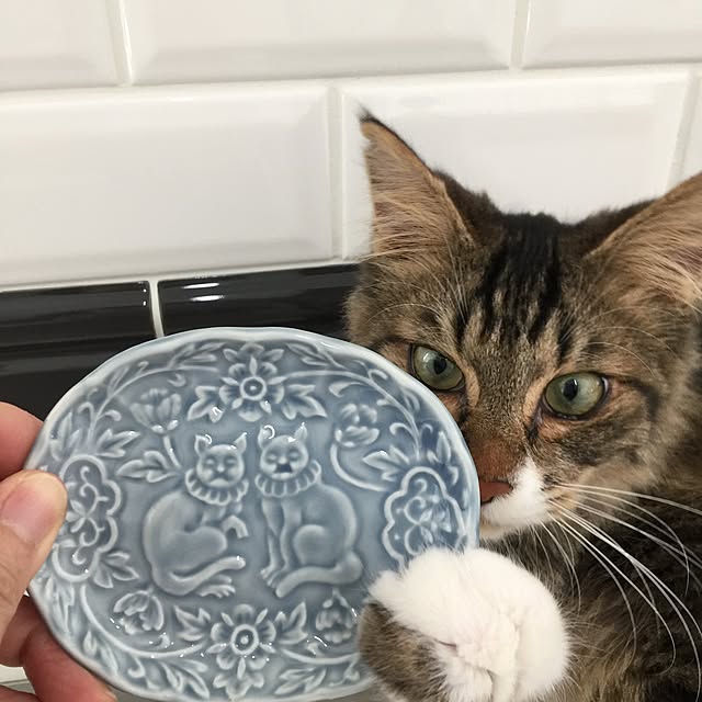 yuchiさんの実例写真
