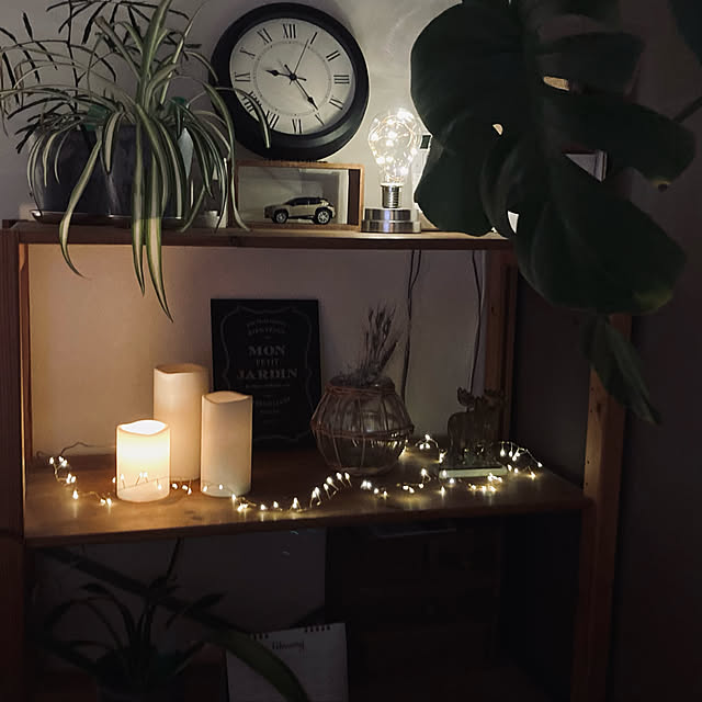 観葉植物/IKEA/雑貨/ドライフラワー/3COINS...などのインテリア実例 - 2023-02-21 22:01:05