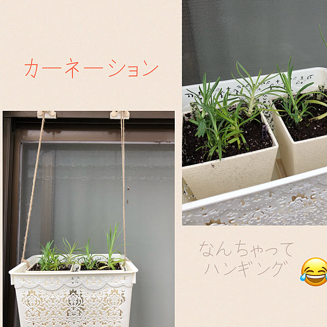chacoさんの実例写真