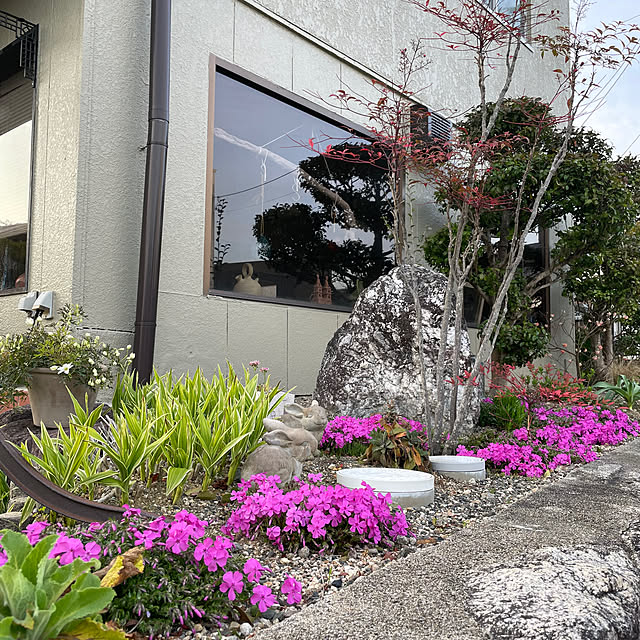 shin0719さんの部屋