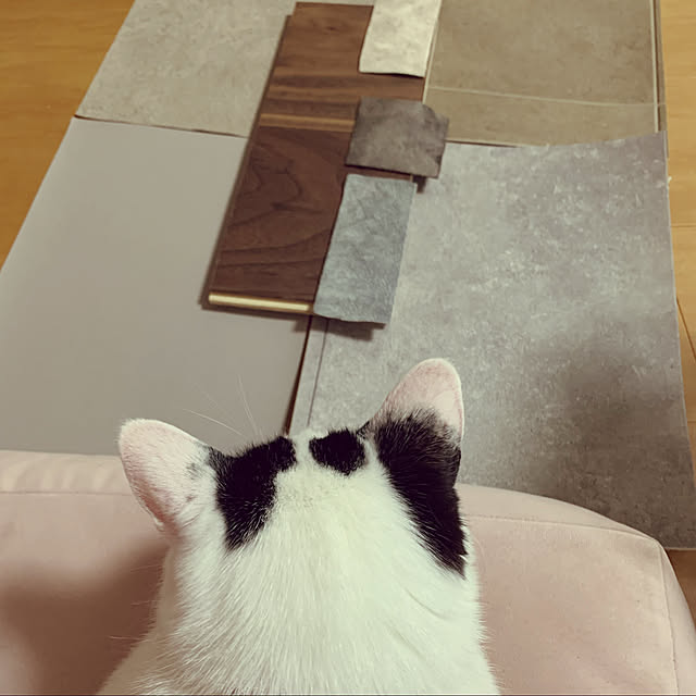 shiiiさんの実例写真