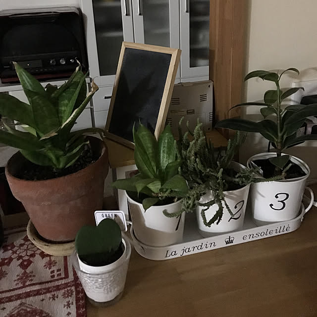 棚/観葉植物のインテリア実例 - 2017-12-04 21:53:52