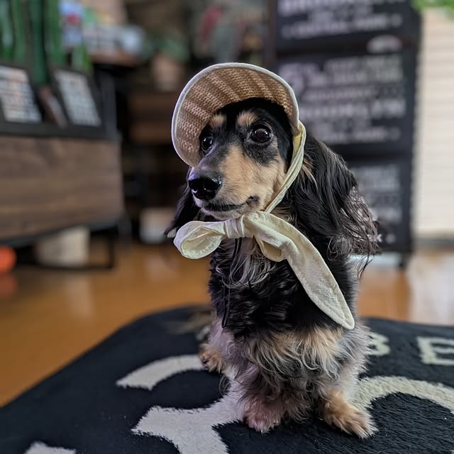 momozouさんの実例写真