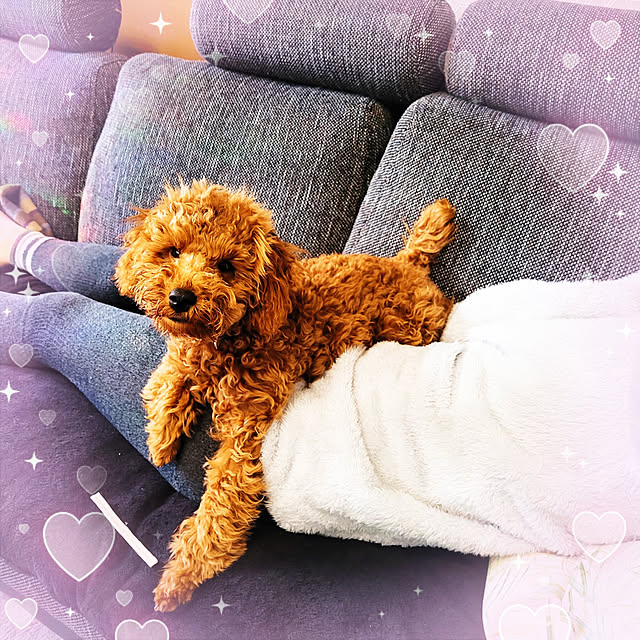 mimi828さんの実例写真