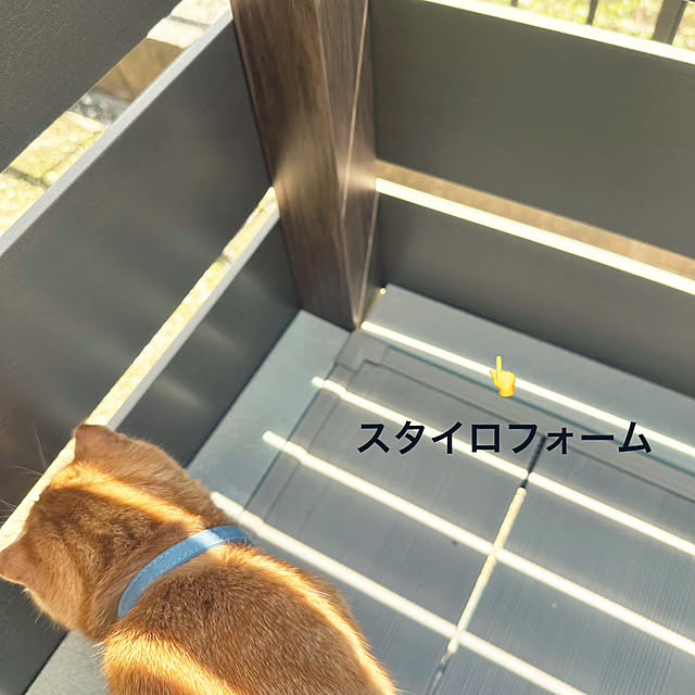 mieさんの実例写真