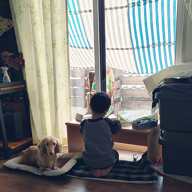 ciiiさんの実例写真